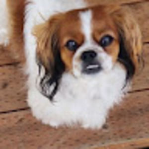 Meet your Posher, Kim